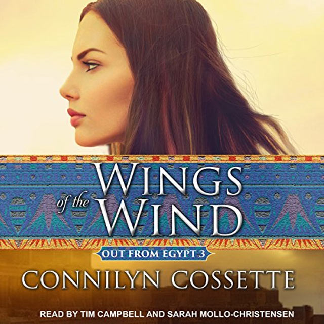 Wings of the Wind Audiobook